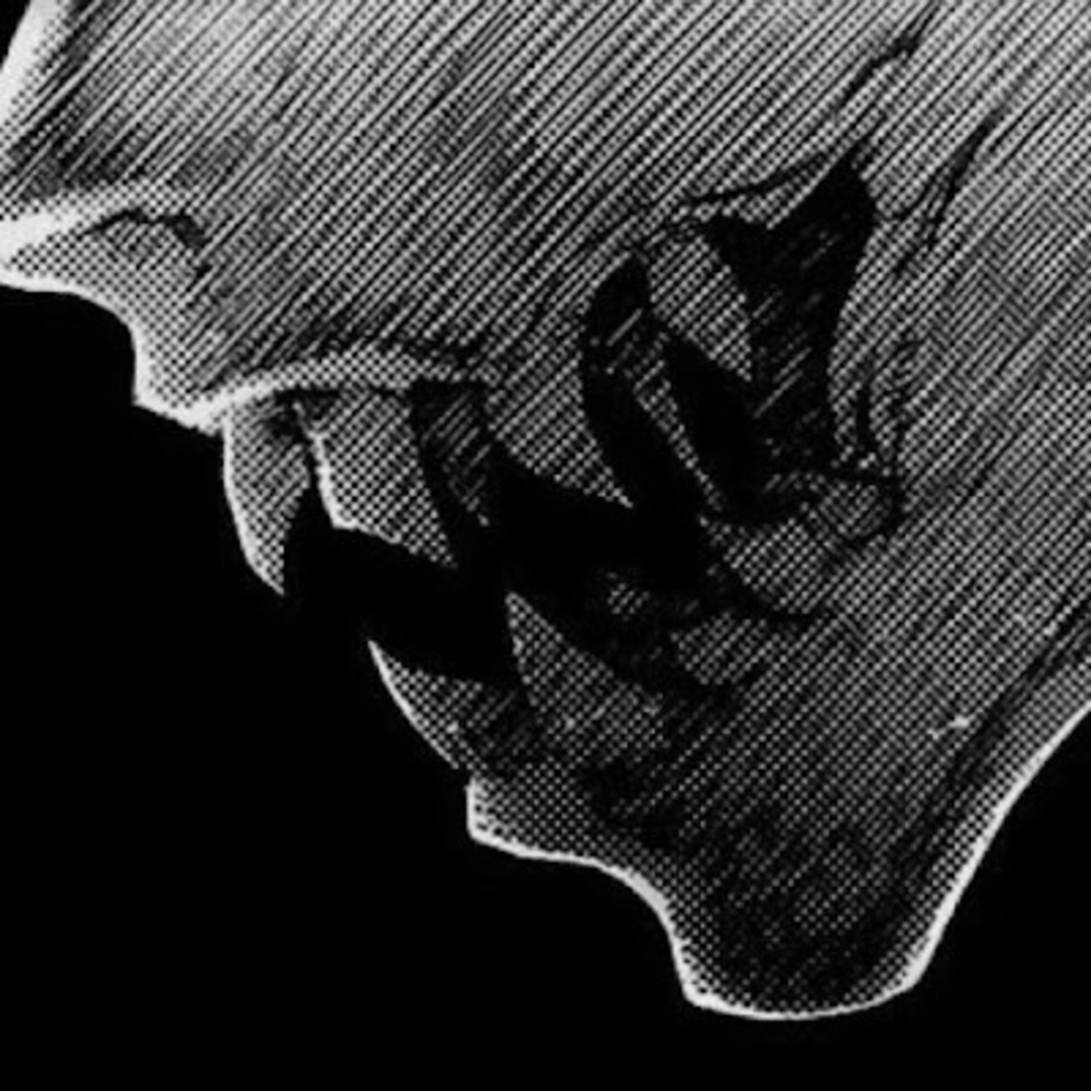 Meet your Posher, Ashintè